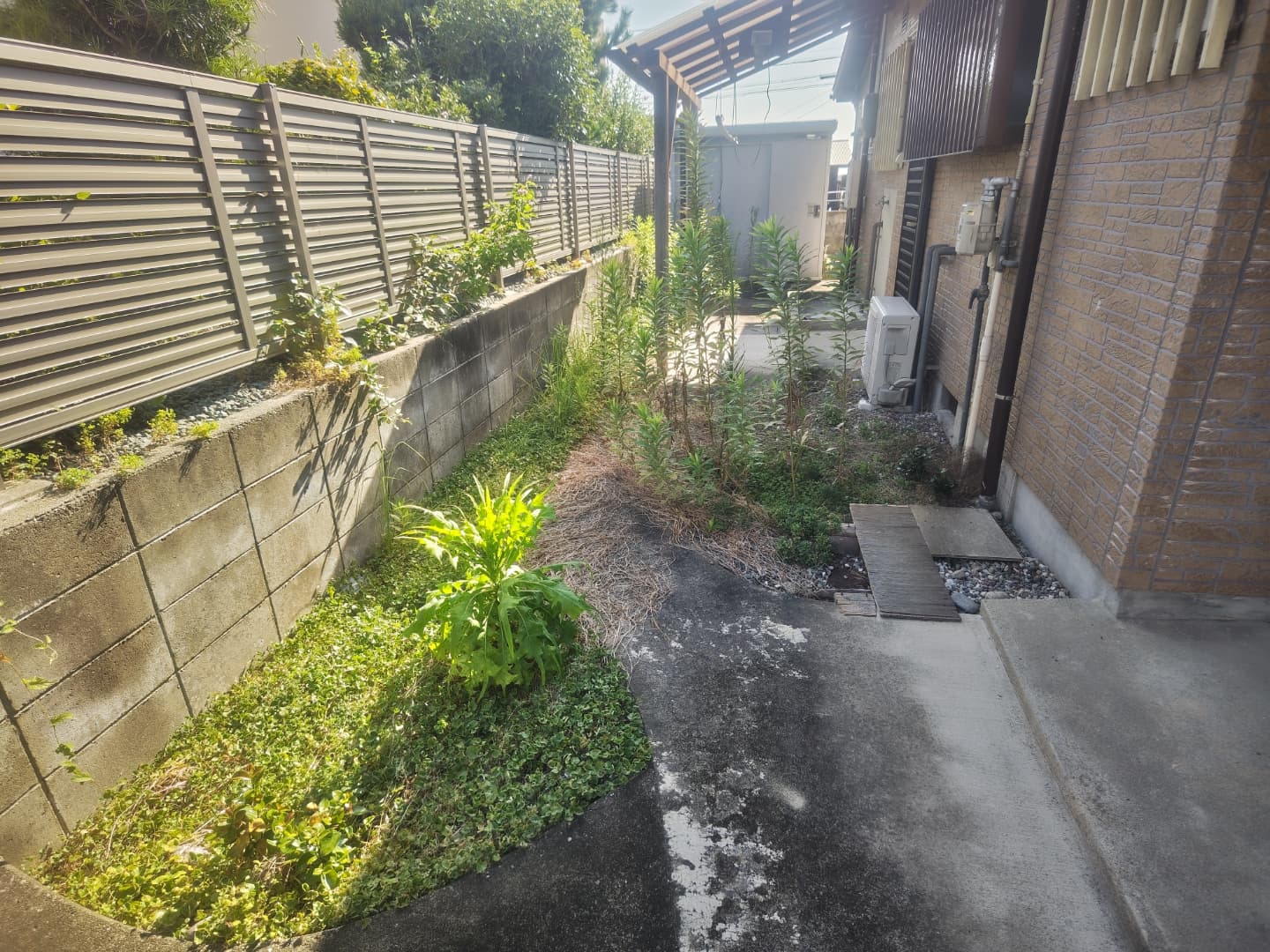 施工前：フェンス沿いに雑草が繁茂