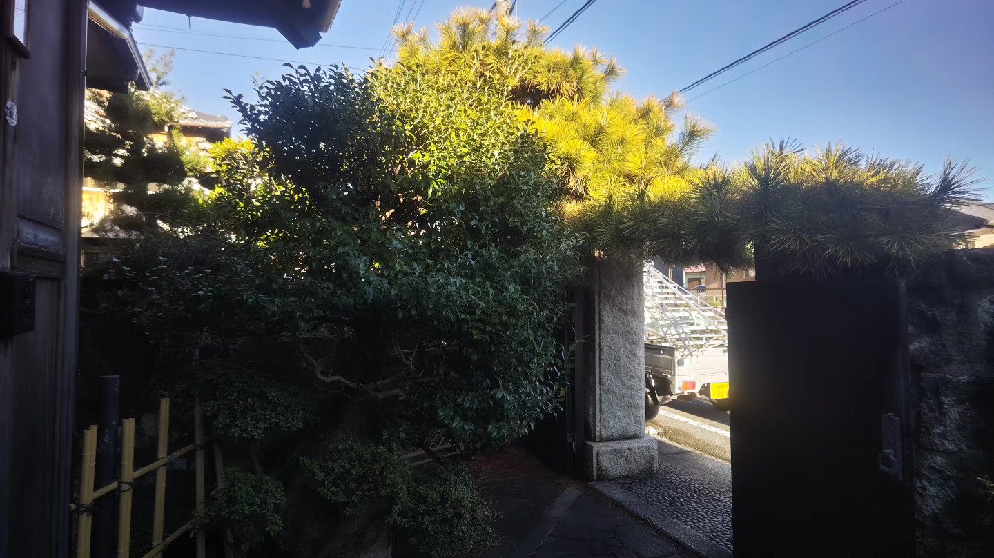 門まわりも枝が伸び通行の妨げに