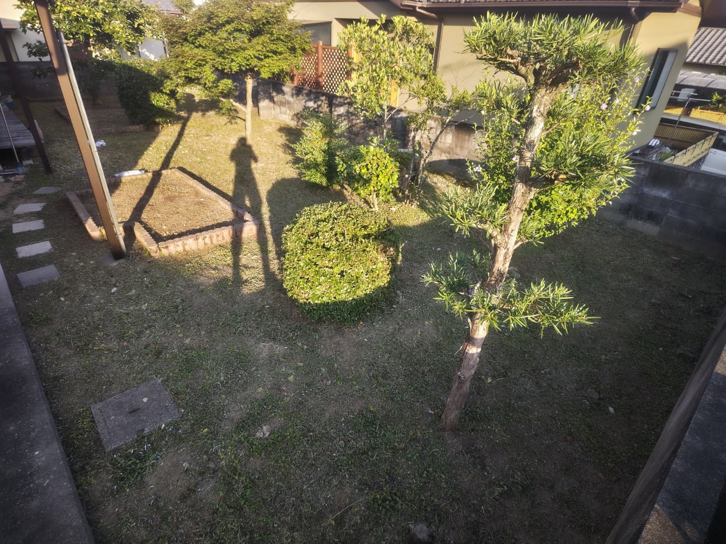 施工後：草を刈り、庭木を整えました