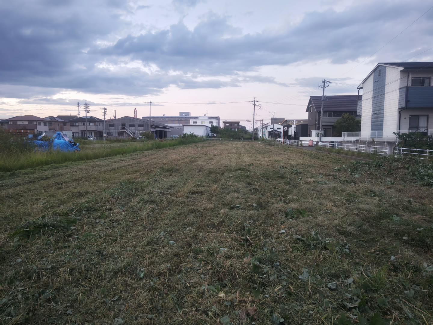 施工後：敷地全体を刈り取りました