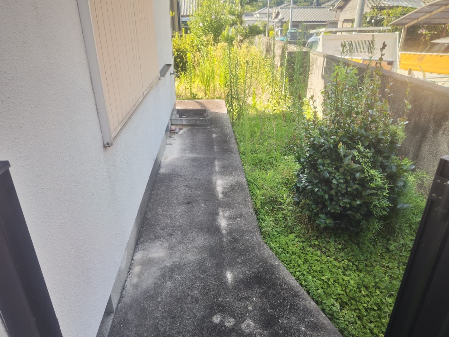 施工前：低木と雑草が伸びた状態