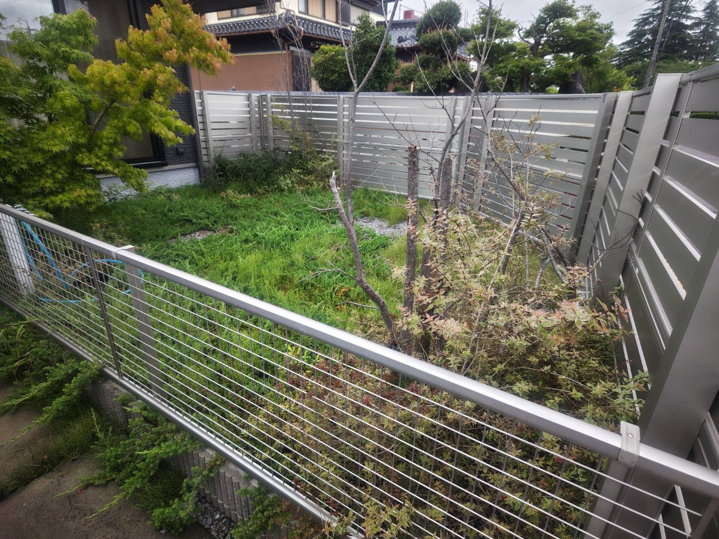施工前:枯れ木・雑草が目立つ庭|三重県四日市市